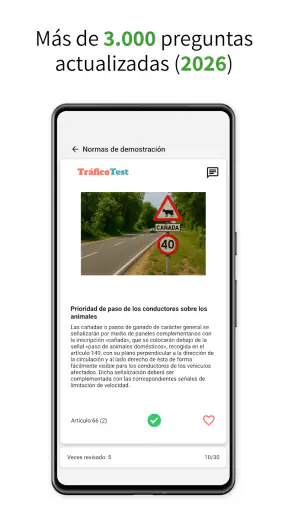 Test de conducir - TraficoTest