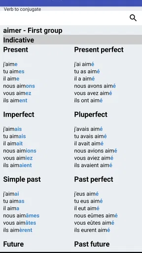 Le Conjugueur Premium
