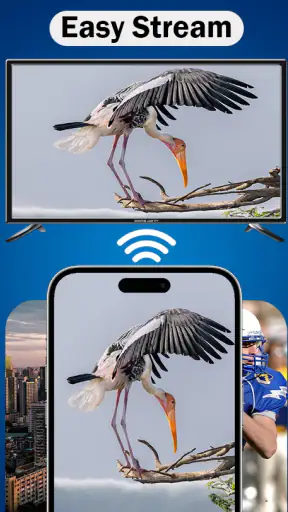 MirrorLink App for Car
