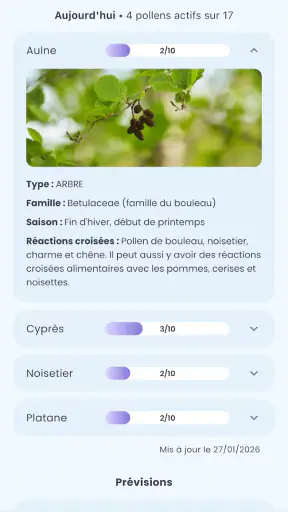 Alerte Pollen