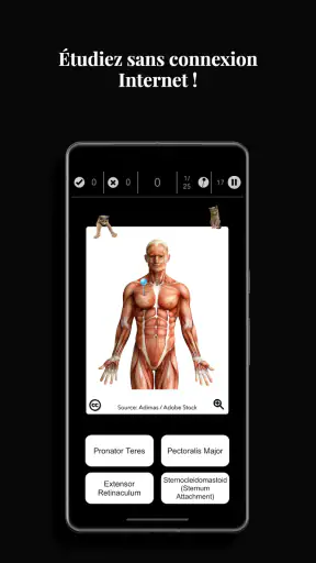 Anatomist - Le Jeu d'Anatomie