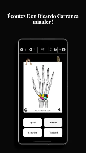 Anatomist - Le Jeu d'Anatomie