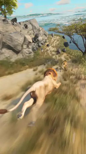 Animal Run: Wild Race