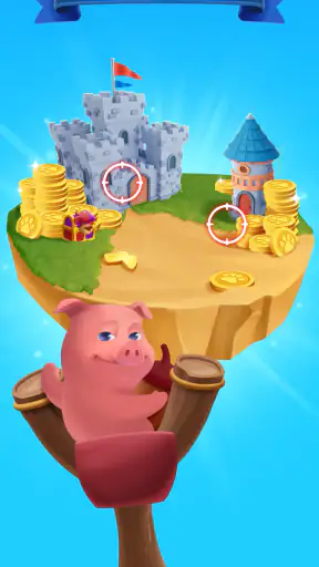 Animals & Coins