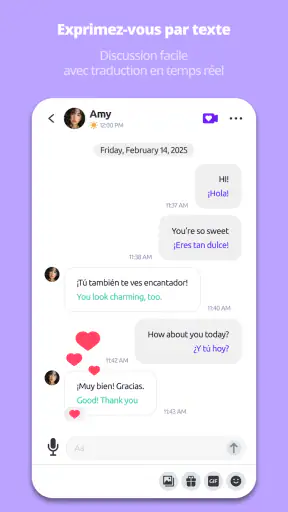 Bermuda Chat Vidéo