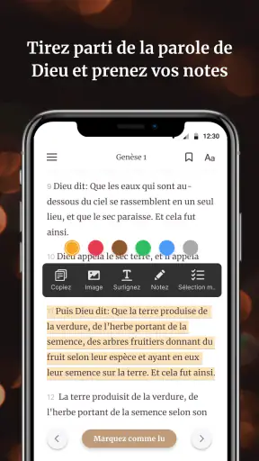 Bible Louis Segond