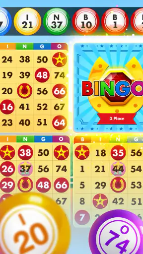 Bingo Country Boys: Tournament