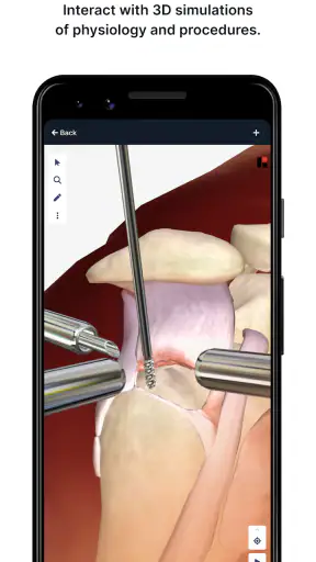 BioDigital Human - 3D Anatomy