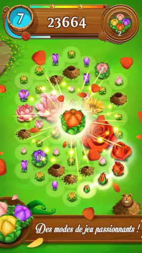 Blossom Blast Saga