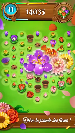 Blossom Blast Saga
