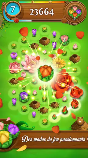 Blossom Blast Saga