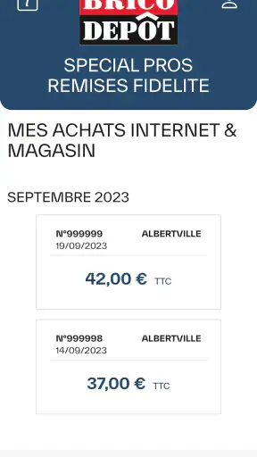 Brico Dépôt Spécial Pros