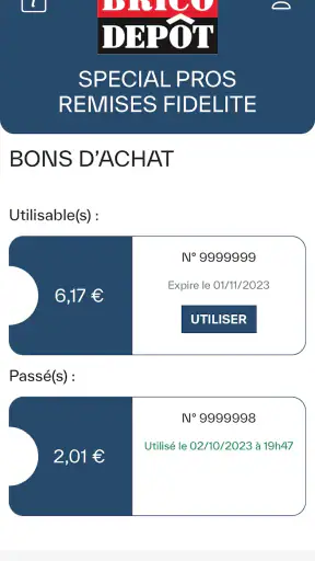 Brico Dépôt Spécial Pros