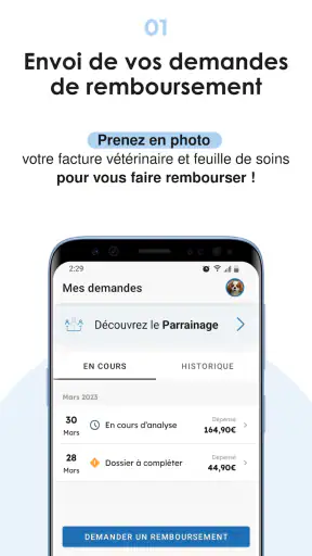 Bulle Bleue