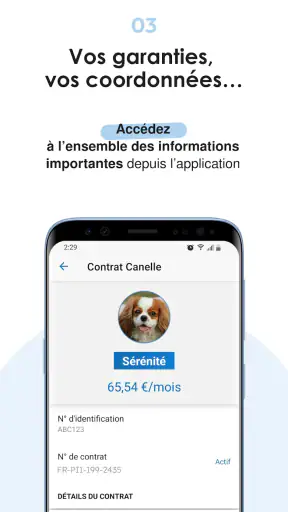 Bulle Bleue