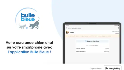 Bulle Bleue