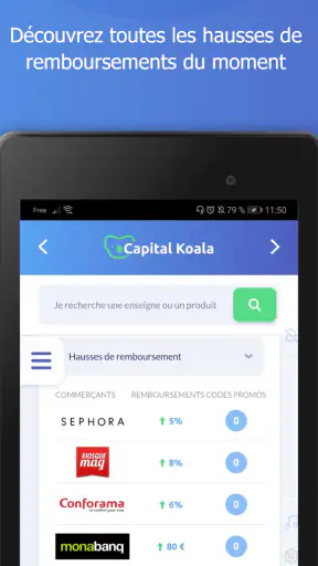 Capital Koala