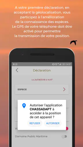 ChassAdapt