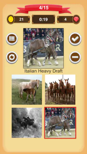 Chevaux - Quiz