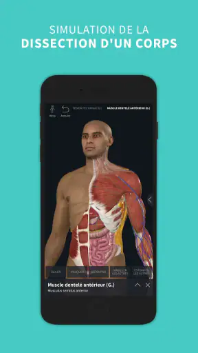 Complete Anatomy