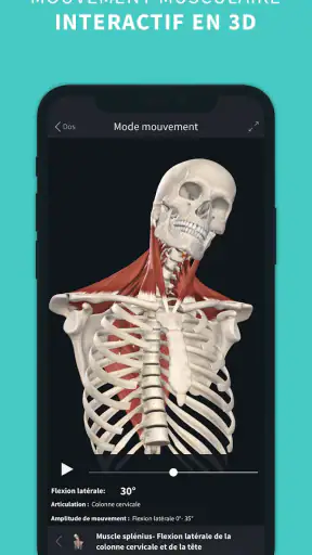 Complete Anatomy