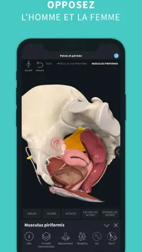 Complete Anatomy