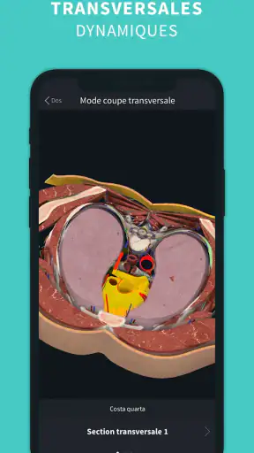 Complete Anatomy