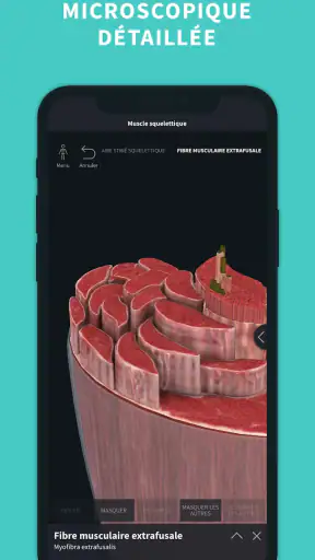 Complete Anatomy