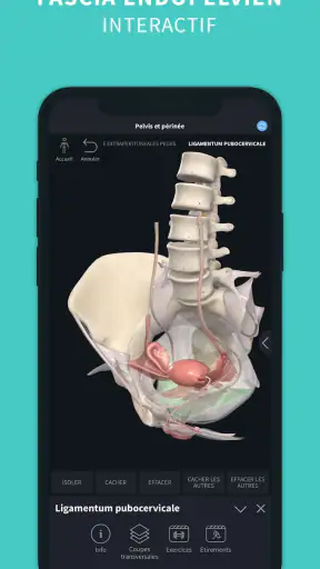 Complete Anatomy