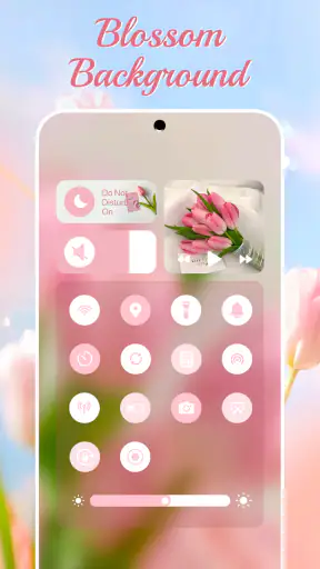 Control Widget - Thèmes