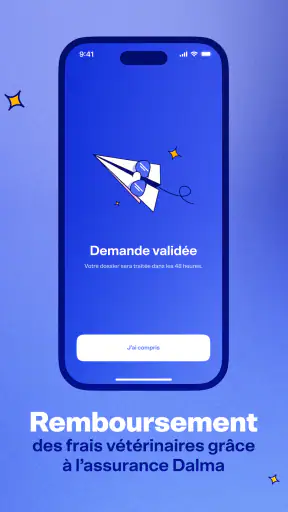 Dalma - Éducation & Assurance