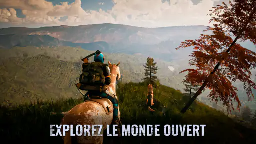 Days After: Survie des Zombies