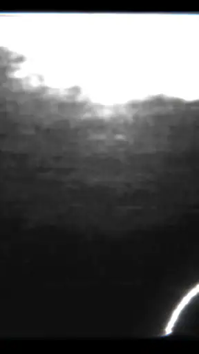 Deadwave