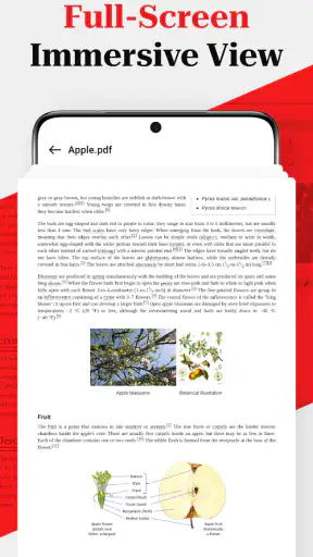 Deep PDF-Read PDF
