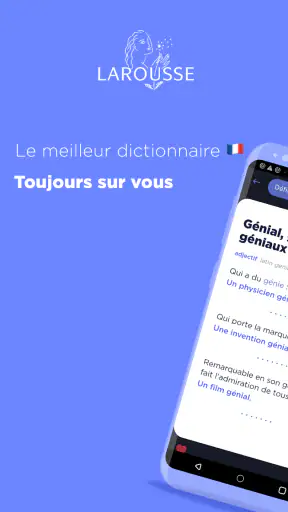 Dictionnaire Larousse français