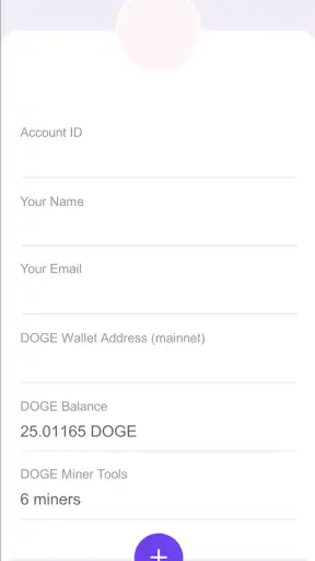 DOGE Miner by NVS