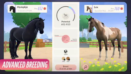 Equestrian the Game