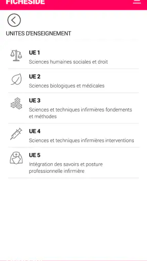 Fiches IDE