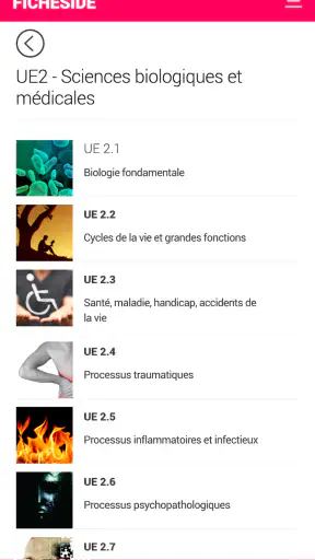 Fiches IDE