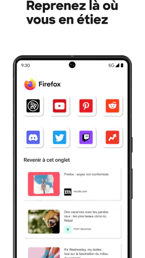 Firefox : Navigateur privé
