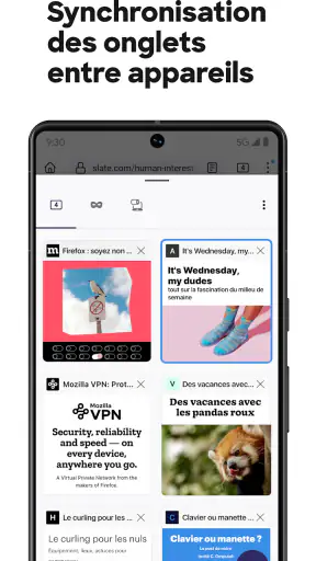 Firefox : Navigateur privé