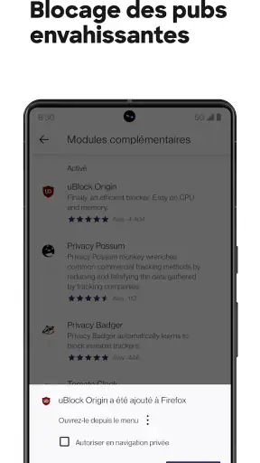 Firefox : Navigateur privé