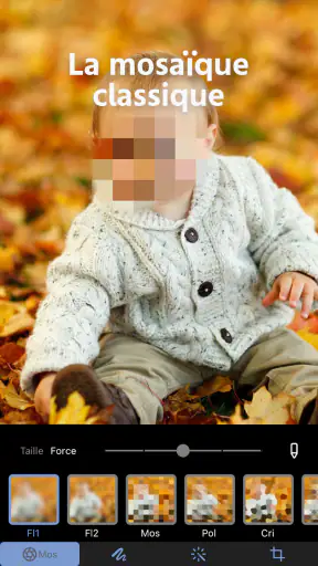 Flou Photo & Effet Mosaïque