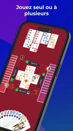 Fun Bridge