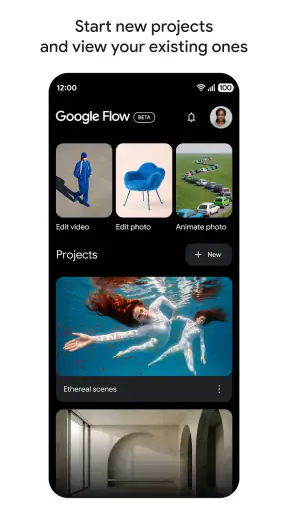 Google Flow Beta