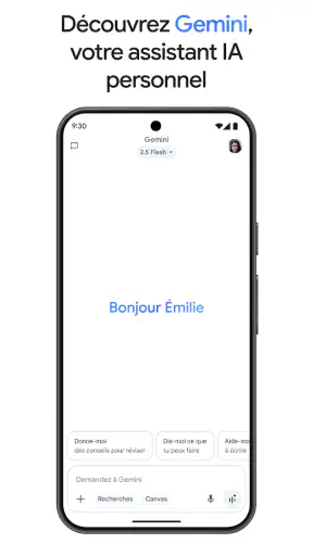 Google Gemini