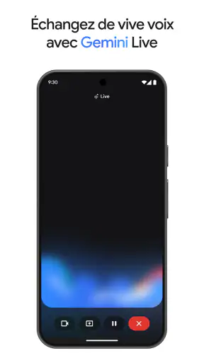 Google Gemini