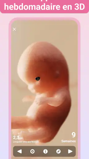 Grossesse + | Appli de Suivi