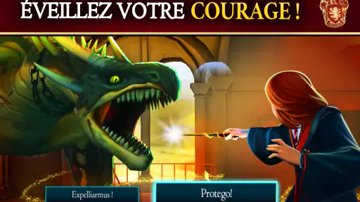 Harry Potter Secret à Poudlard