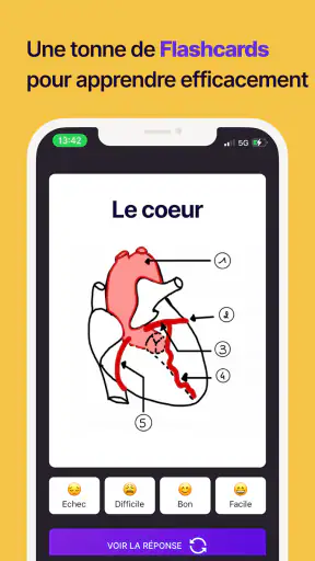 Hippocast